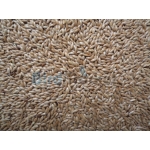 Κεχρί Versele Laga