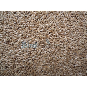 Κεχρί Versele Laga