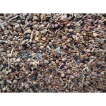 Αγριόσποροι Με Αγκάθι Και Παπαρούνα