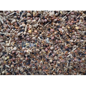 Αγριόσποροι Με Αγκάθι Και Παπαρούνα