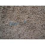 Περίλλα Λευκή 