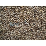 Καναβούρι Zippy Ψιλό