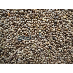 Καναβούρι Zippy Ψιλό