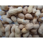 Φυστίκι Για Παπαγάλους