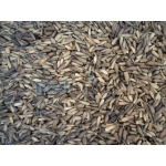 Ηλιόσπορος  Micro ( Μικρός Για Καρδερίνες)