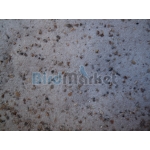 Αμμος Πουλιών  1kg