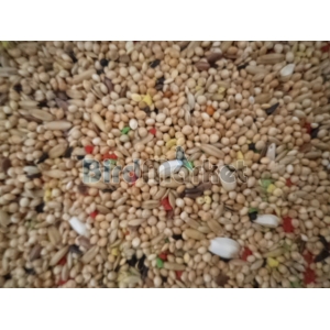 Τροφη - Μείγμα (Χύμα) Για Παπαγάλακια  1kg