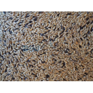 Manitoba T3 Platino Για Καναρίνια Χρώματος Με Περίλλα 1kg