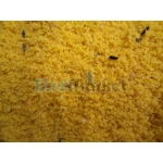 Αυγοτροφή Raff Holland Cοva 250gr ( Xύμα ) 