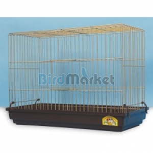 Mαινόκλουβο Χρυσό