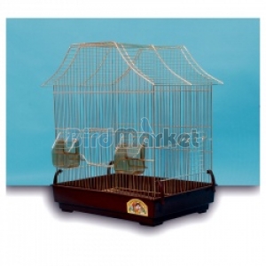 Kλουβί Νάνσυ Χρυσό