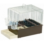 Kλουβί Songbird Εκθέσεων