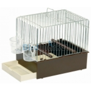 Kλουβί Songbird Εκθέσεων