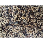 Versele Laga Canaries  Χωρίς Μπισκότο 1kg-Χύμα