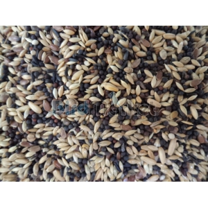 Versele Laga Canaries  Χωρίς Μπισκότο 1kg-Χύμα