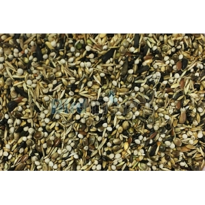 Blattner - Goldfinch Major Italia 5kg Blattner - Goldfinch Major Italia 5kg