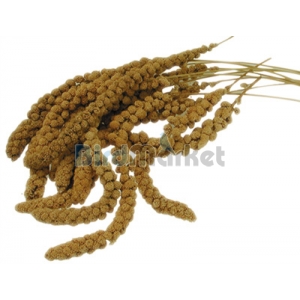 Vadigran Millet  750gr