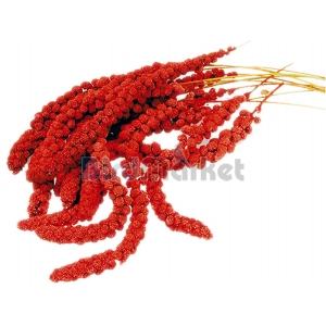  Millet  - Tσαμπιά - Kόκκινο  250gr 