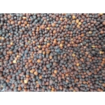 Ρούπσεν Κόκκινο 