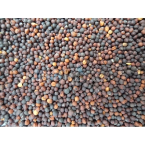 Ρούπσεν Κόκκινο 