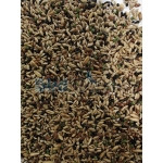 Versele-Laga Prestige Premium Canaries 1kg - XYMA 
