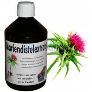 Hungenberg Εκχύλισμα Αγκάθι Μαρίας 100ml