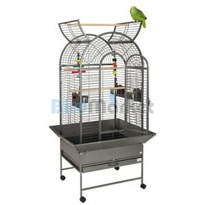 Κλουβί Παπαγάλου MAX - ΠΡΟΣΦΟΡΑ!