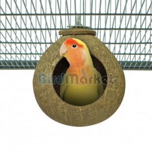 Παιχνίδι Villa Coconut