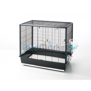 Kλουβί Primo 60