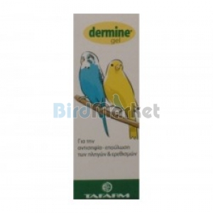 Tafarm Dermine Gel