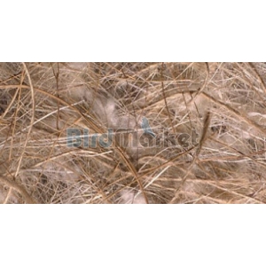  Sisal Fibre Cocco Sisal Juta Cotton 100gr