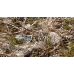 Sisal Fibre Juta Cotton Muschio 500gr