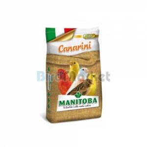 Manitoba Canarini  20kg