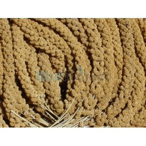  Millet  - Tσαμπιά 250gr 