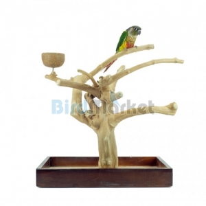 Back Zoo Java Playstand Small