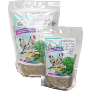 Evia Parrots Μαρουλόσπορος 100gr