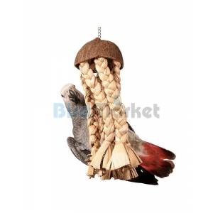 Παιχνίδι Μέδουσα 