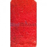 Pastoncino - S. Michele Rosso (Κόκκινη Πατέ Αυγοτροφή) - 5kg