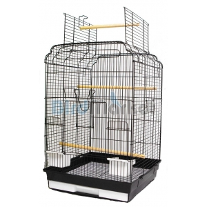 Kλoυβί Regina 2 Black