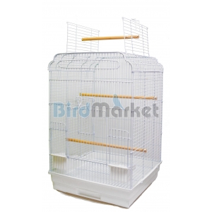 Kλoυβί Regina 2 White