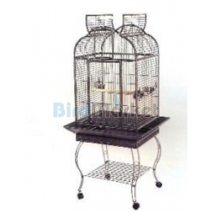 Kλουβί Παπαγάλου Eclectus