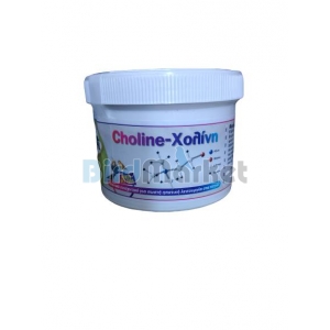 Evia Parrots Χολίνη 100gr