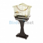 Kλουβί Sofia Gold