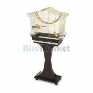 Kλουβί Sofia Gold