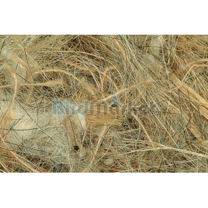 Quiko Νήμα Φωλιάς Animal Hair  Sisal 500gr
